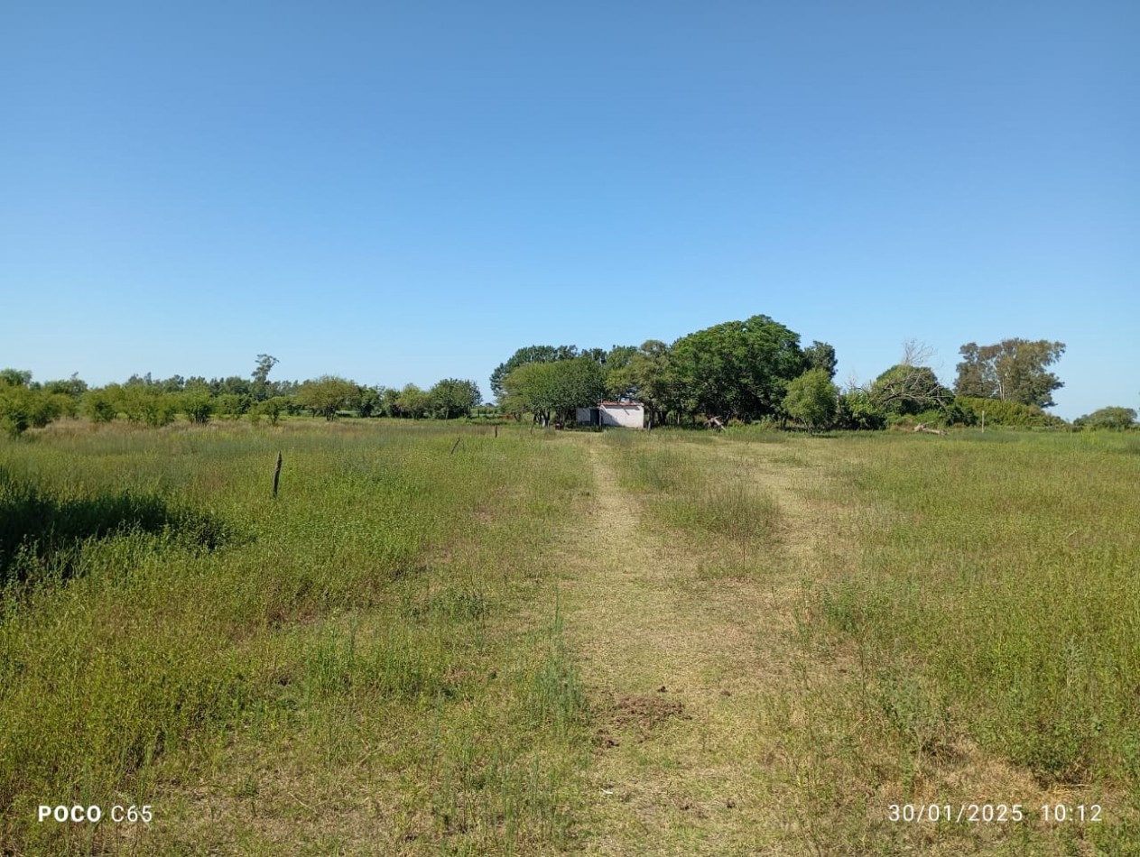 SE VENDEN 5 HECTAREAS EN SAN JUSTO PROVINCIA DE SANTA FE