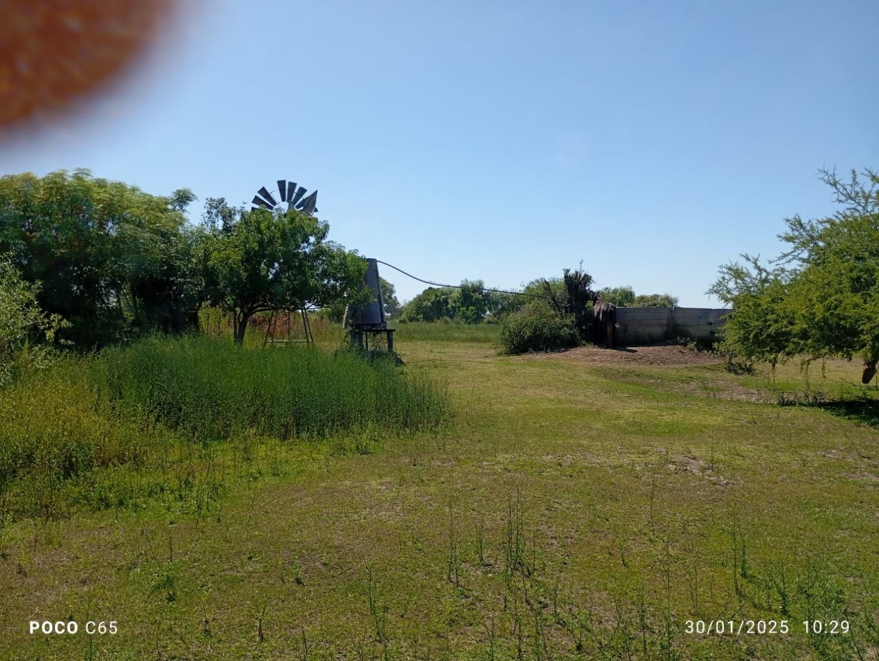 SE VENDEN 5 HECTAREAS EN SAN JUSTO PROVINCIA DE SANTA FE