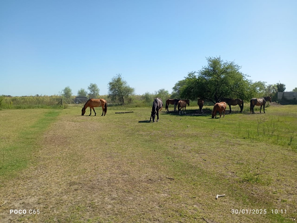 SE VENDEN 5 HECTAREAS EN SAN JUSTO PROVINCIA DE SANTA FE