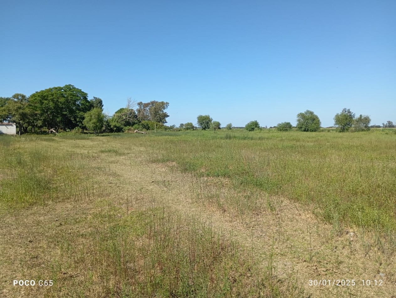 SE VENDEN 5 HECTAREAS EN SAN JUSTO PROVINCIA DE SANTA FE