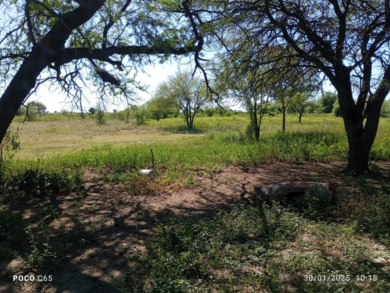 SE VENDEN 5 HECTAREAS EN SAN JUSTO PROVINCIA DE SANTA FE