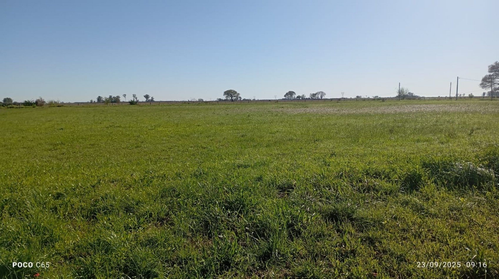 EN VENTA LOTE EN RAMAYON  PROVINCIA DE SANTA FE - 10.000 MTS CUADRADOS ( 1 MANZANA )