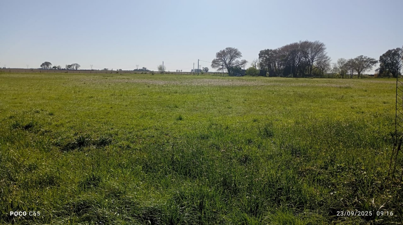 EN VENTA LOTE EN RAMAYON  PROVINCIA DE SANTA FE - 10.000 MTS CUADRADOS ( 1 MANZANA )