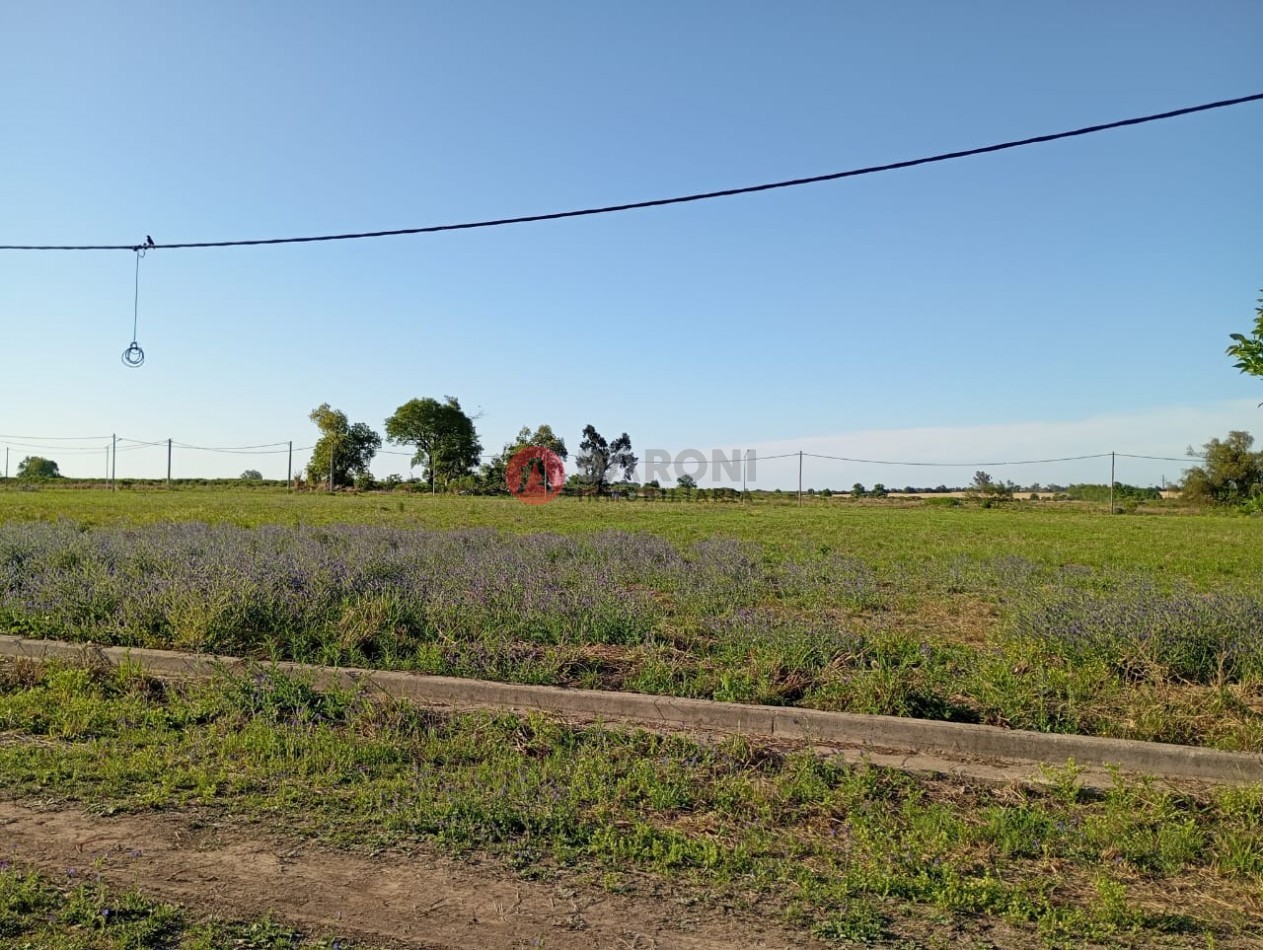 lotes en barrio LOS ALTOS