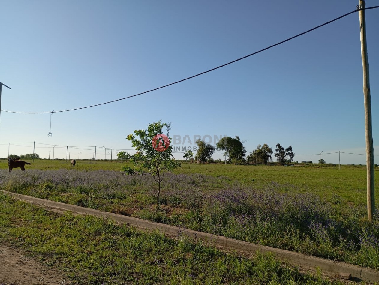 lotes en barrio LOS ALTOS