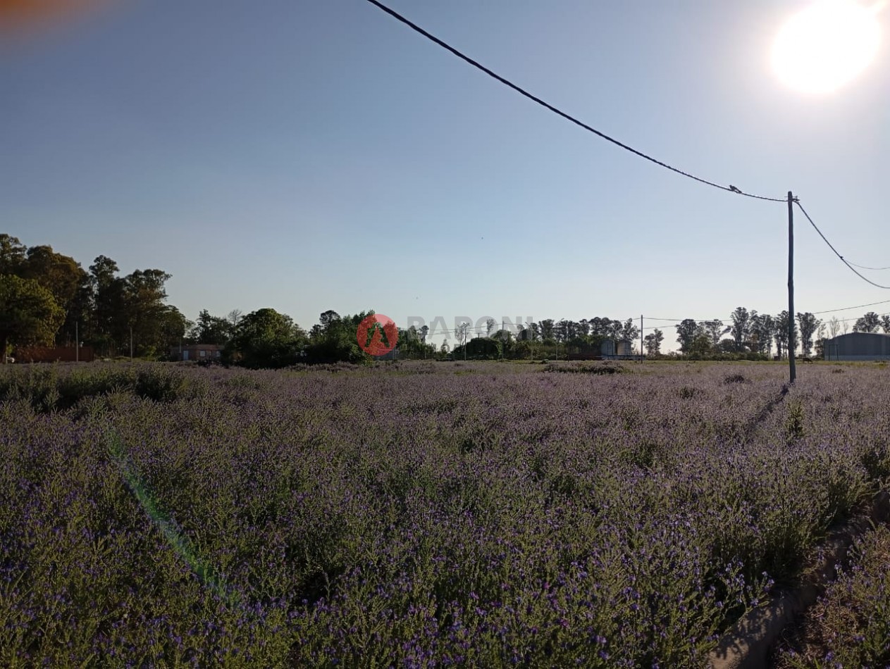 lotes en barrio LOS ALTOS