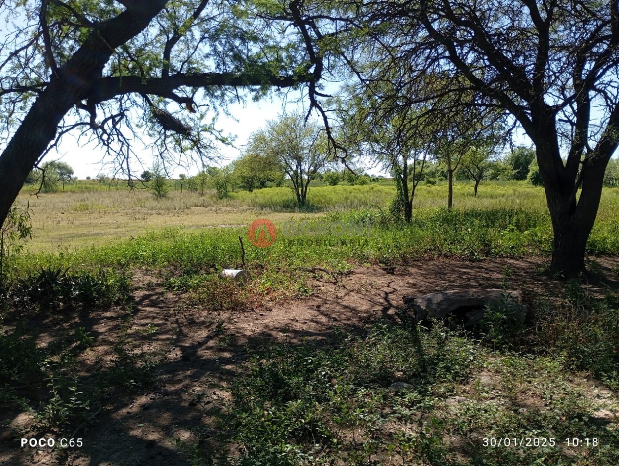 SE VENDEN 5 HECTAREAS EN SAN JUSTO PROVINCIA DE SANTA FE