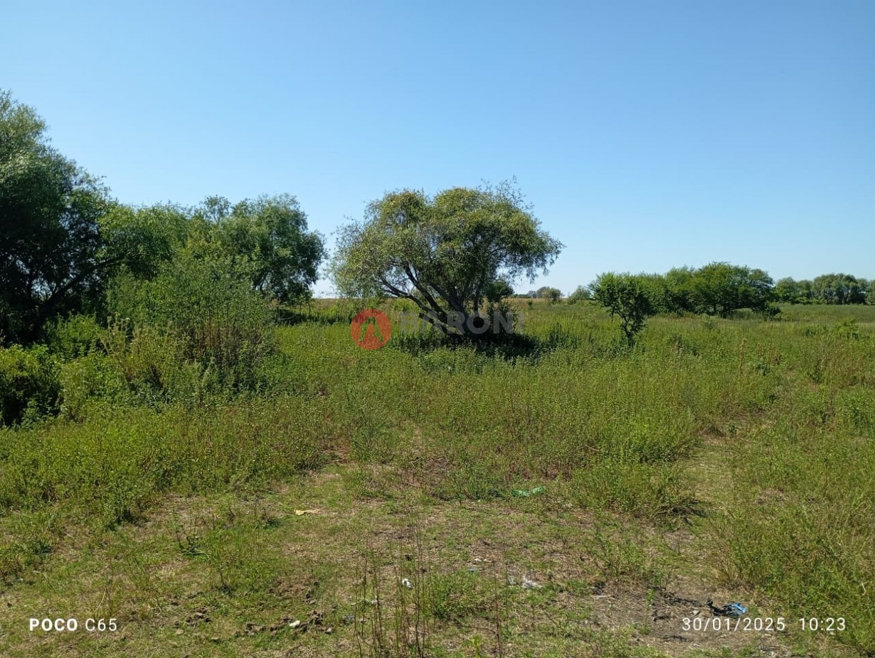 SE VENDEN 5 HECTAREAS EN SAN JUSTO PROVINCIA DE SANTA FE