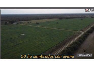 SE VENDE CAMPO - CAMILA ( DEPARTAMENTO SAN JUSTO) PCIA. DE SANTA FE. 408 hectareas es ganadero y agricola