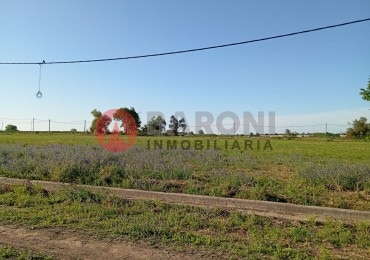 lotes en barrio LOS ALTOS